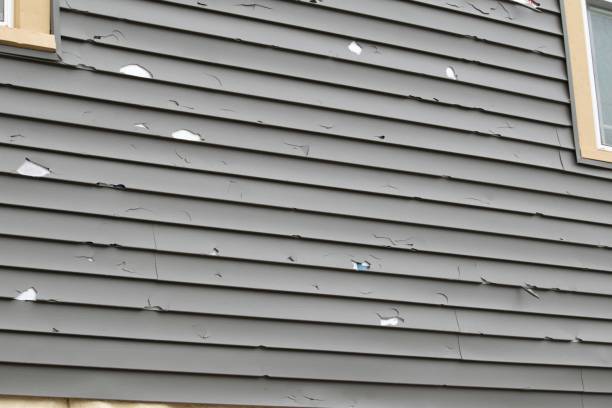Best Shed Removal  in Bunkie, LA